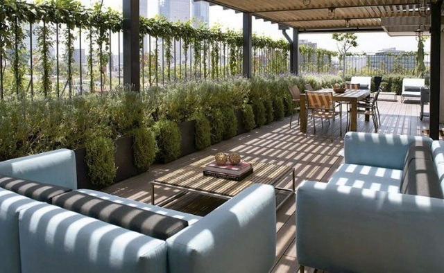 TERRAZA-2